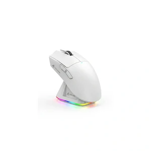 Souris Attack Shark X11 Maroc