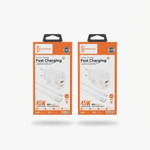 Chargeur secteur Winstar WR-208 45W avec câble