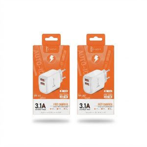 Chargeur Secteur Winstar WR-302 3.1A avec Câble