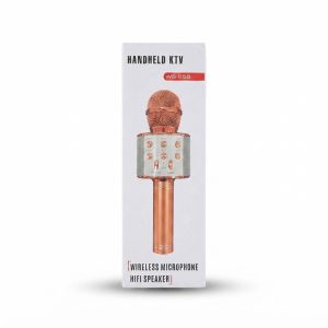 Microphone Karaoké Sans Fil WS-858 avec Haut-Parleur